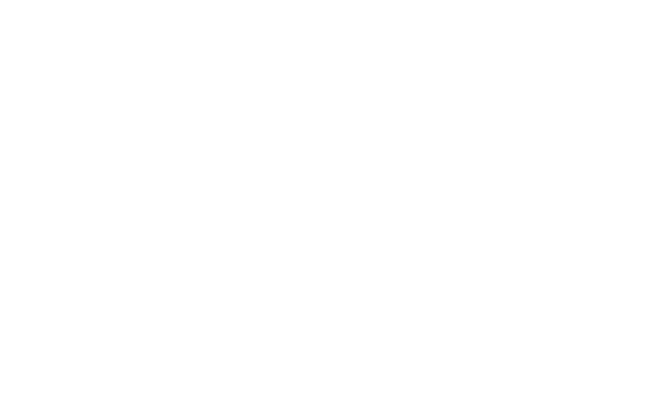 Mean Well